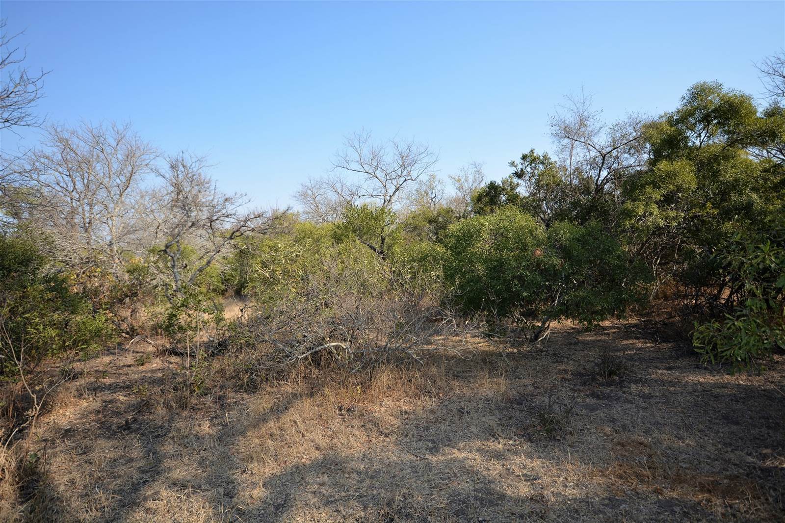 1 ha Land available in Moditlo Nature Reserve photo number 5