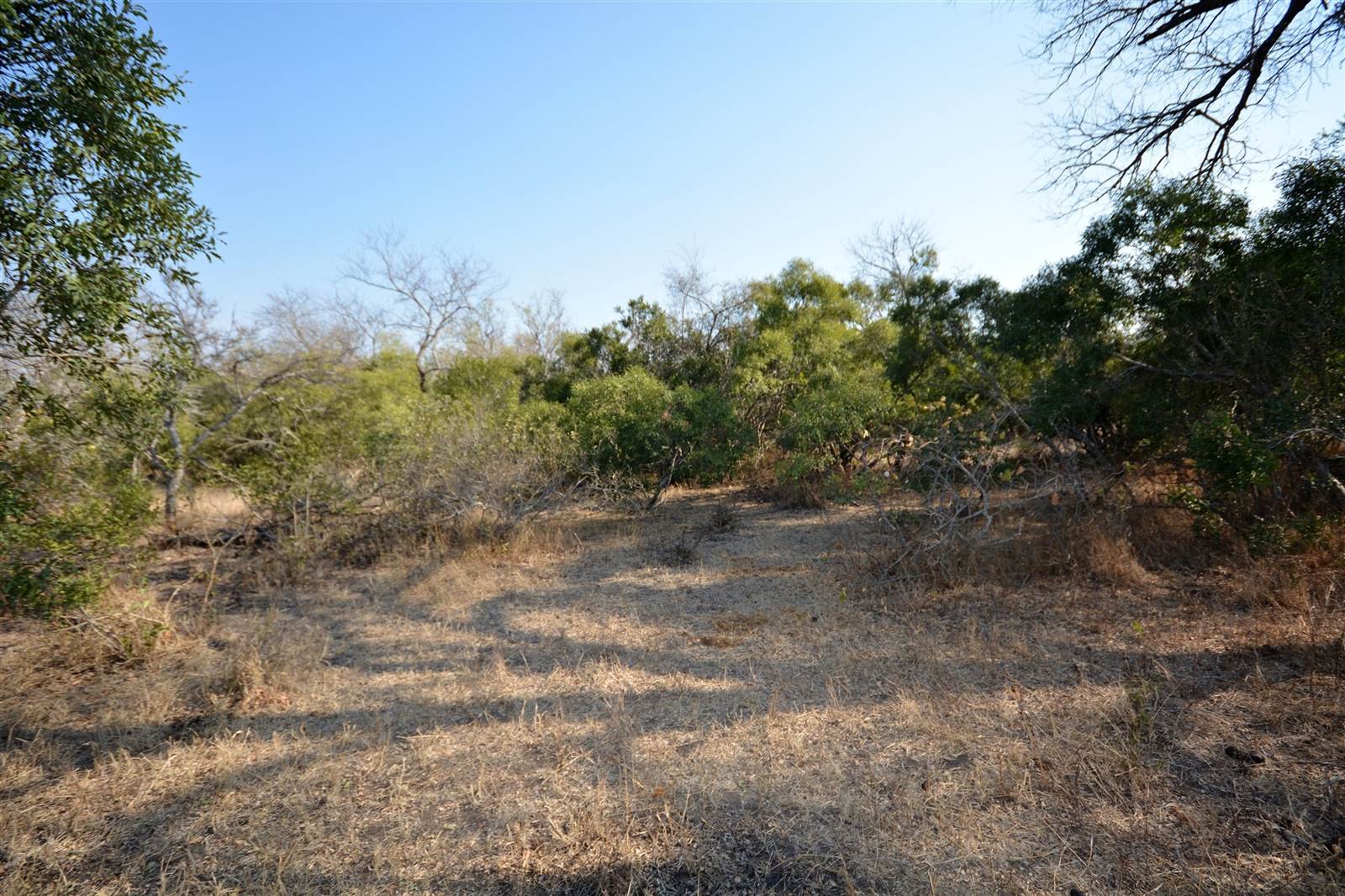 1 ha Land available in Moditlo Nature Reserve photo number 1