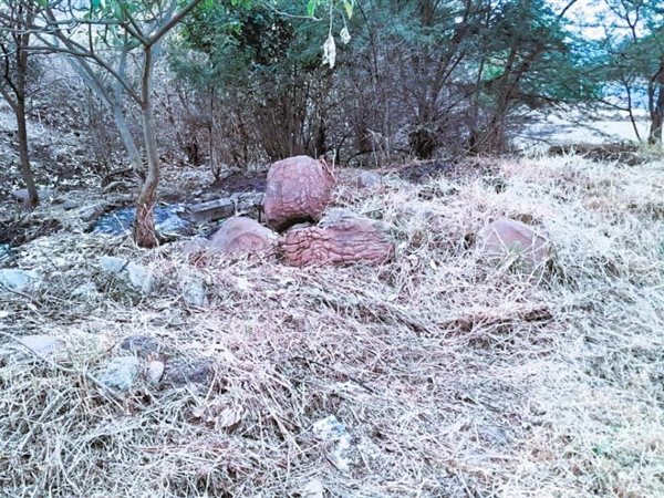 1 985 m² Land