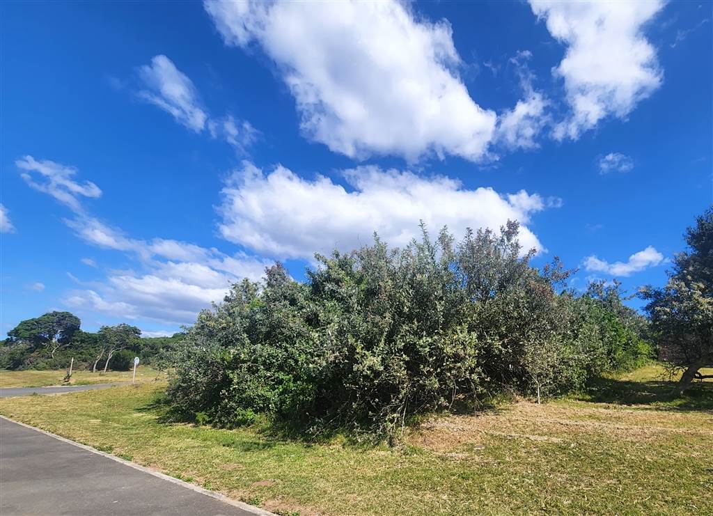 837 m² Land available in Cintsa photo number 3