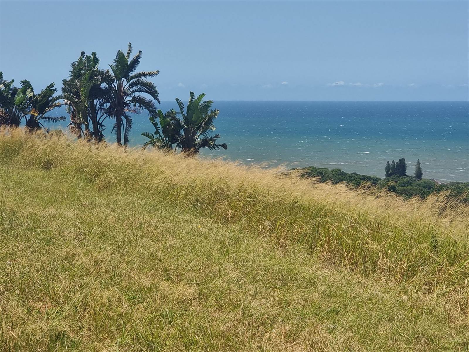 959 m² Land available in Shelly Beach photo number 2