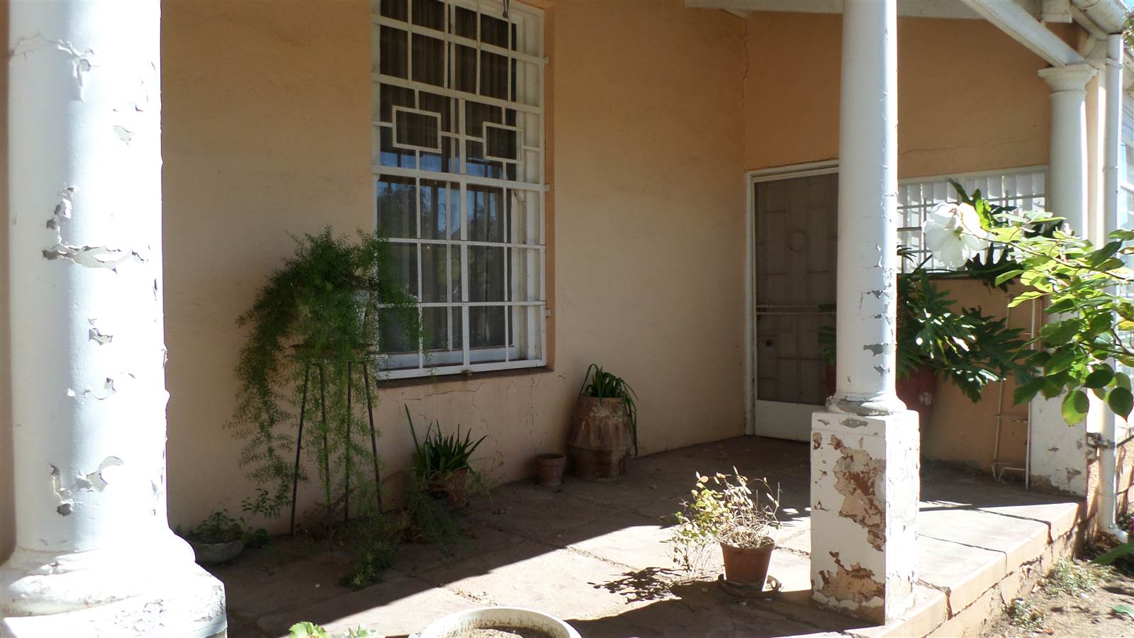 4 Bed House in Steynsburg photo number 16