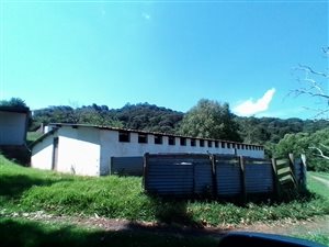 25 ha Smallholding in Balgowan