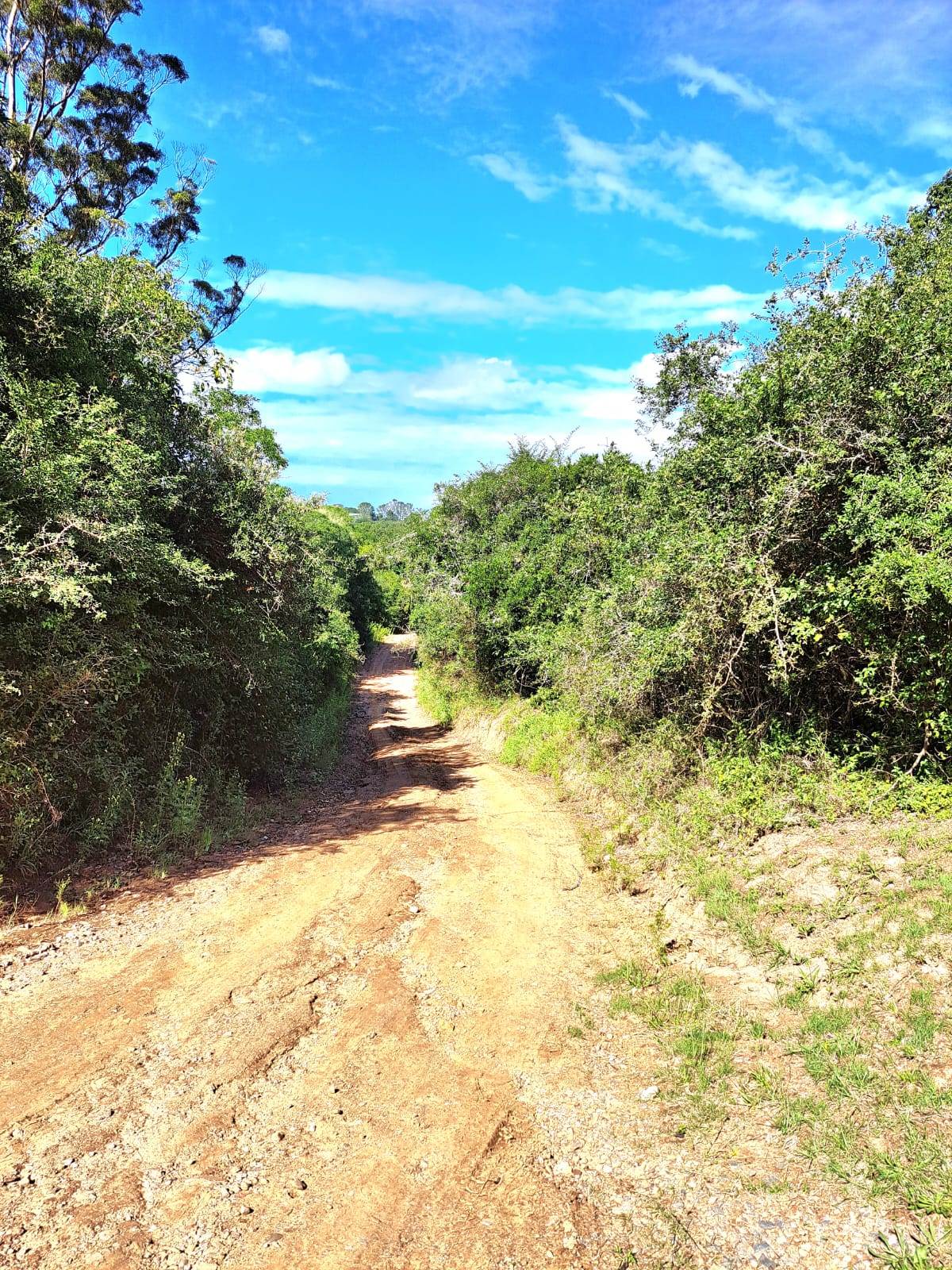 8565 m² Land available in Bathurst and Surrounds photo number 1