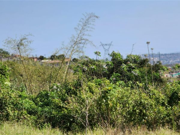 463 m² Land available in Southgate