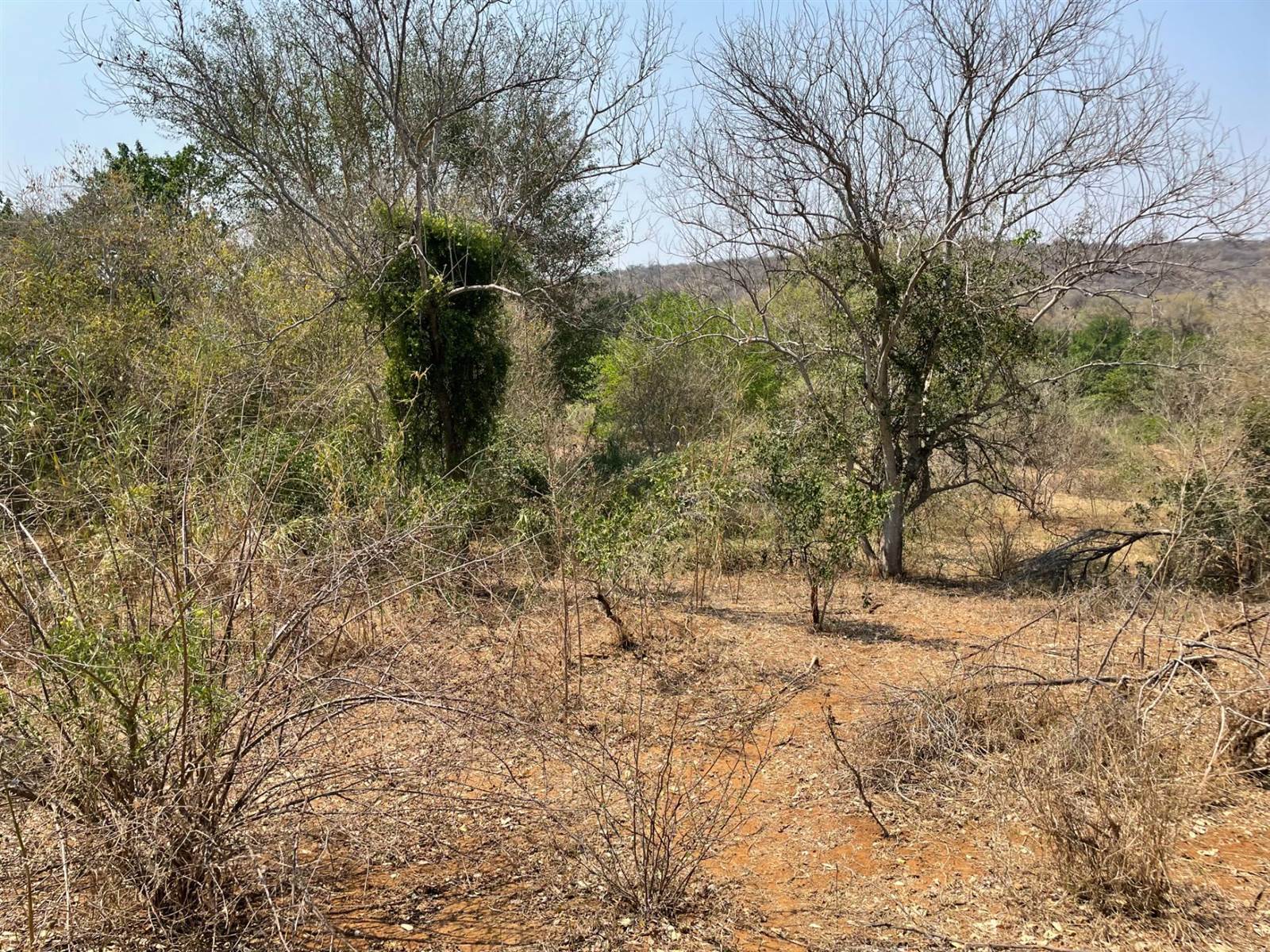 2400 m² Land available in Elephant Rock Eco Estate photo number 10
