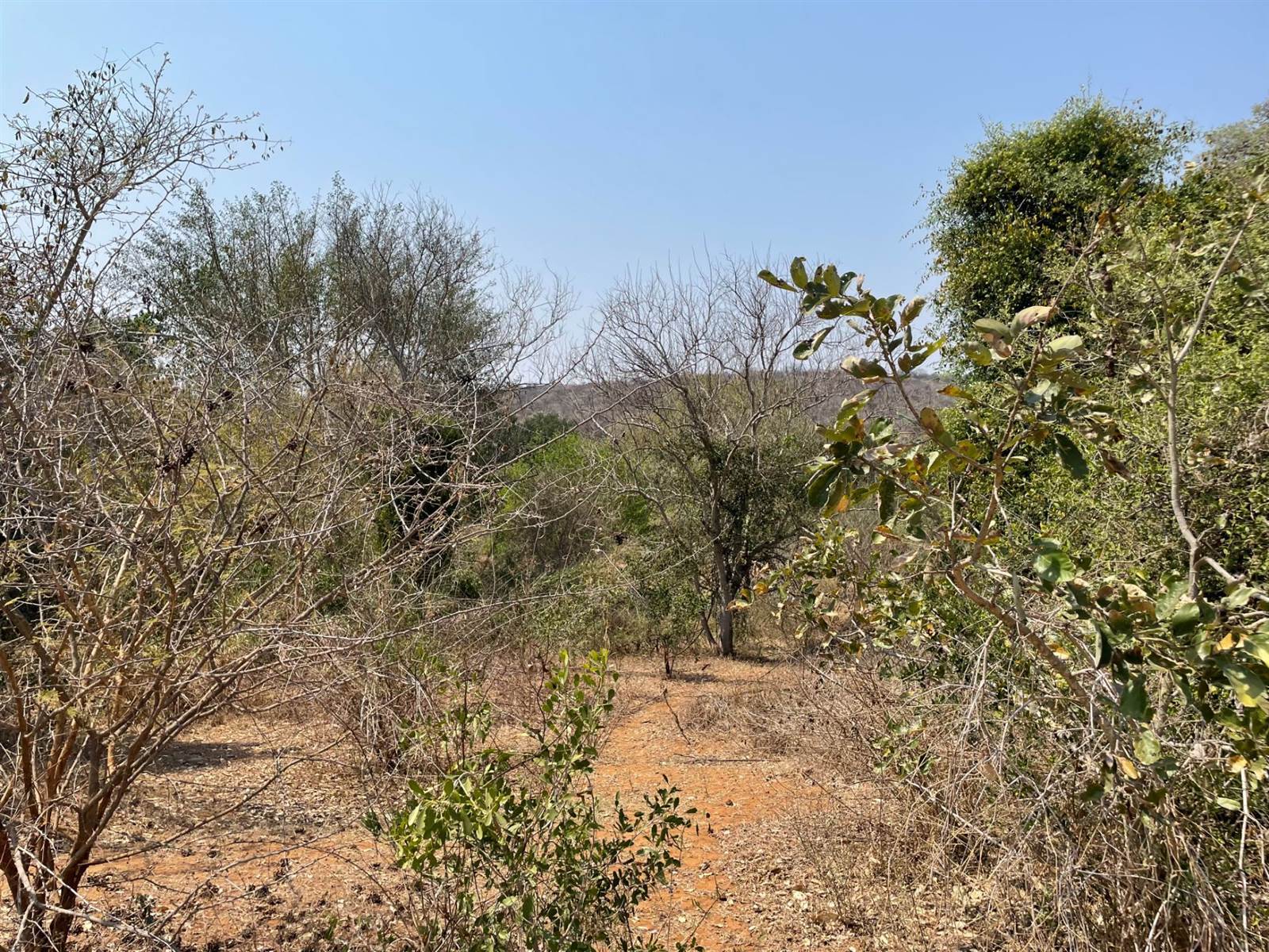 2400 m² Land available in Elephant Rock Eco Estate photo number 9