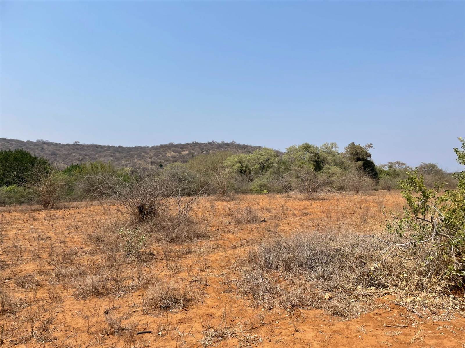 2400 m² Land available in Elephant Rock Eco Estate photo number 5