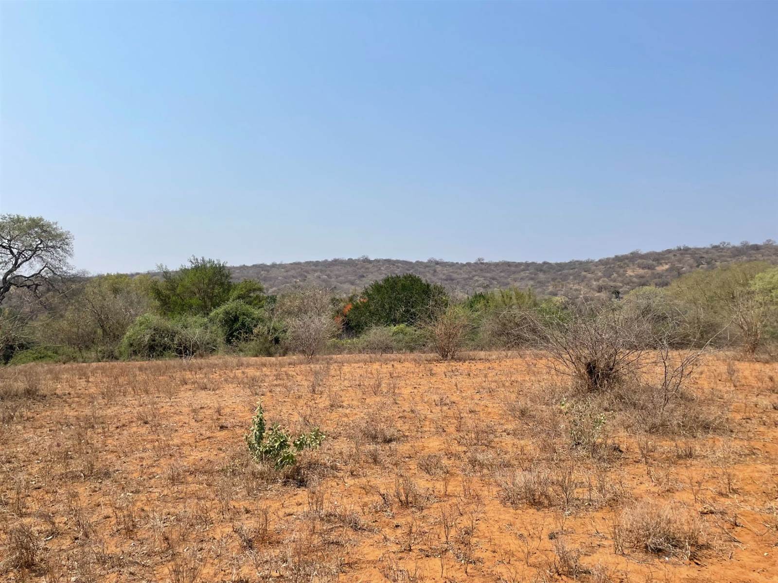 2400 m² Land available in Elephant Rock Eco Estate photo number 4