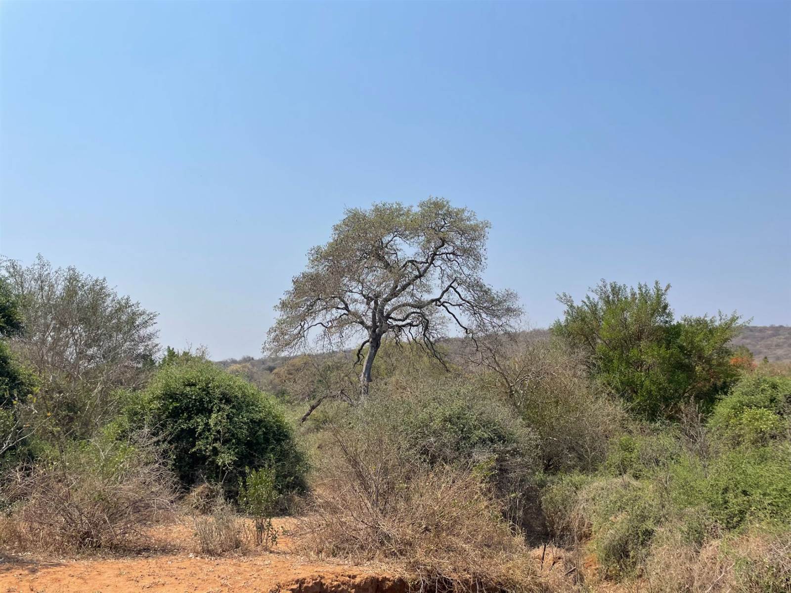 2400 m² Land available in Elephant Rock Eco Estate photo number 6
