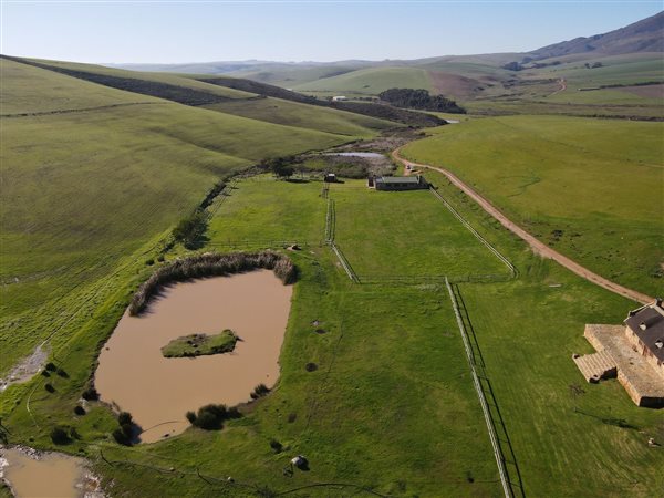 245 ha Farm with House