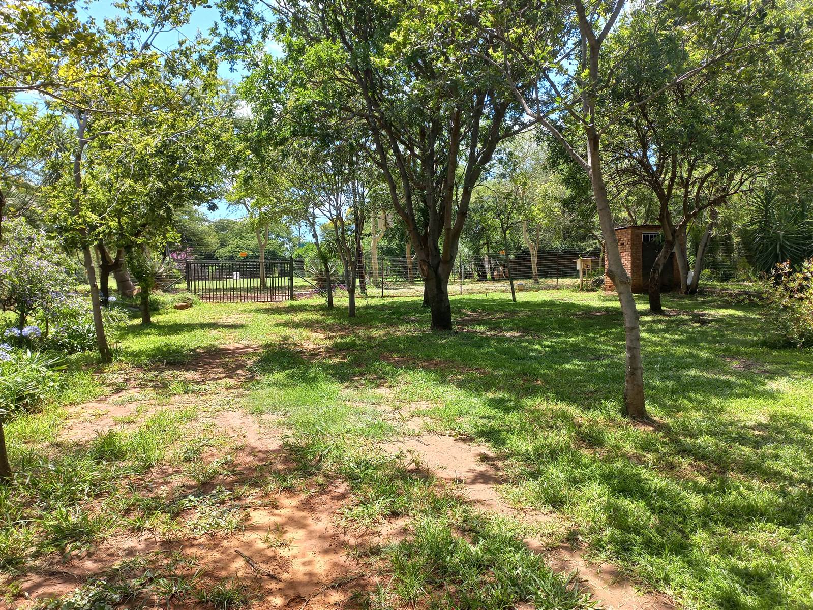 2.2 ha Farm in Strydfontein and surrounds photo number 9
