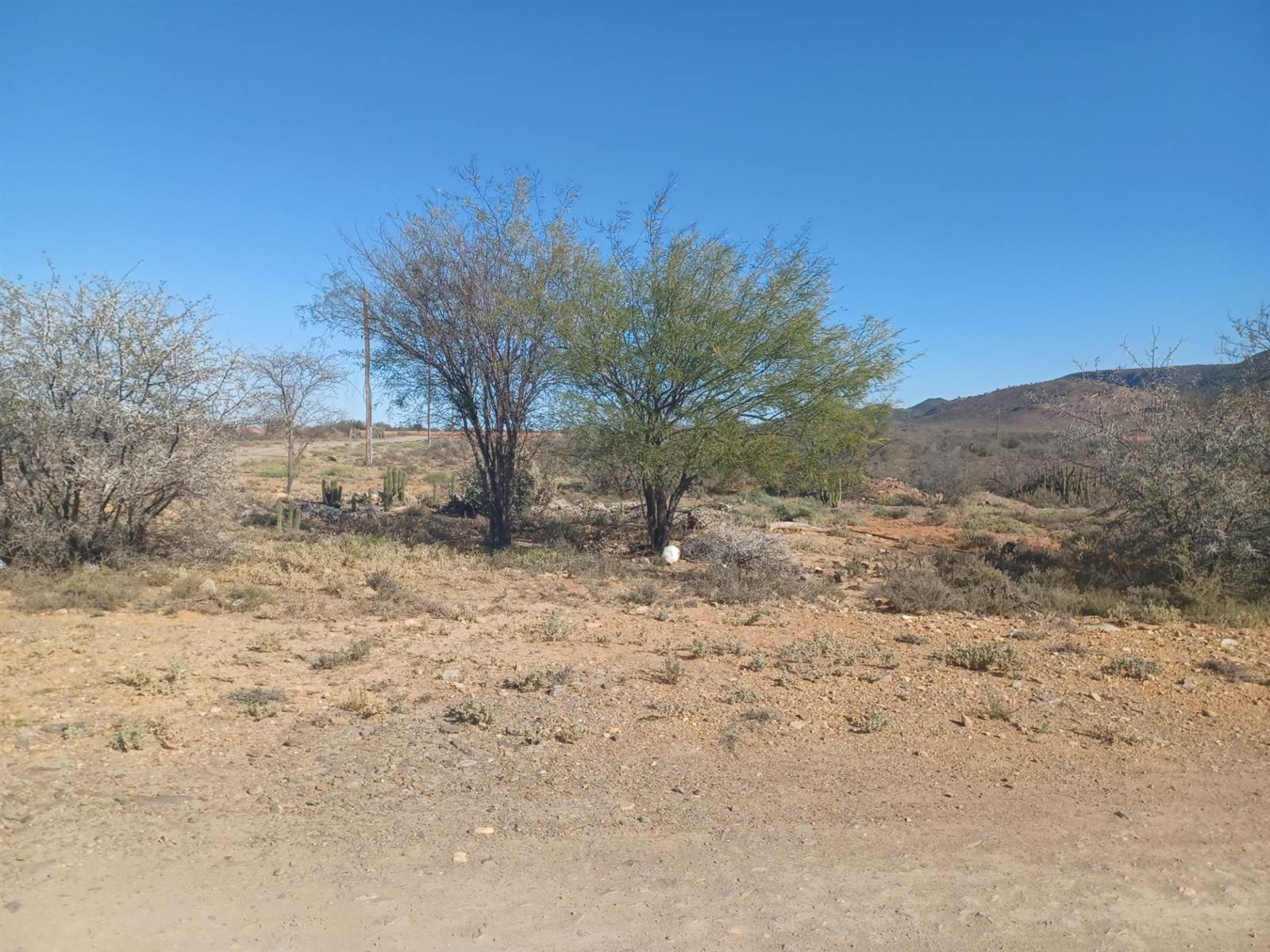 952 m² Land available in Steytlerville photo number 3