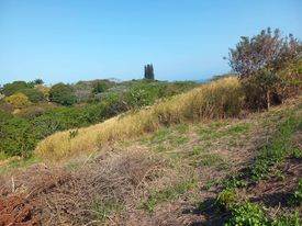 724 m² Land available in Sea Park photo number 4