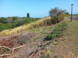 724 m² Land available in Sea Park photo number 7