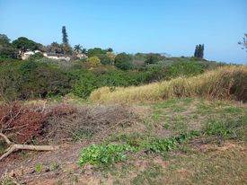 724 m² Land available in Sea Park photo number 8