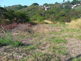 724 m² Land available in Sea Park photo number 5