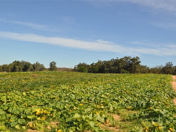 298.1 ha Farm