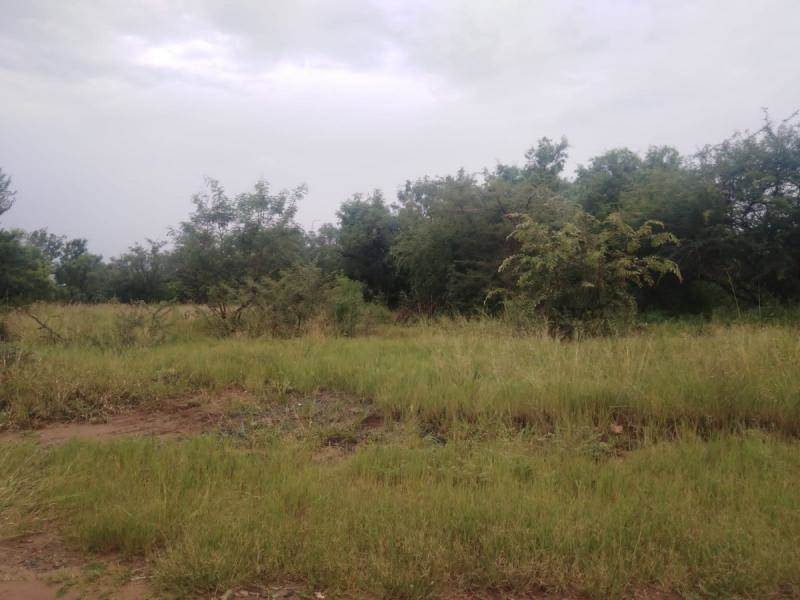 1 ha Land available in The Orchards photo number 6
