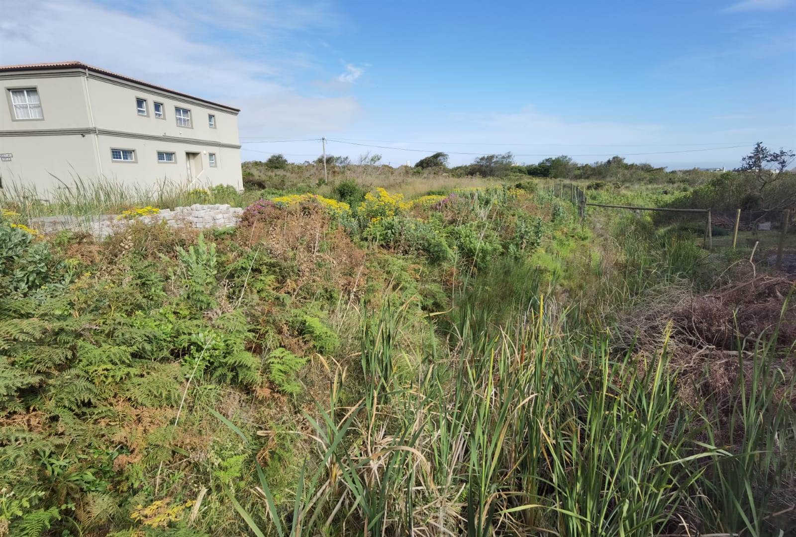 880 m² Land available in Bettys Bay photo number 8
