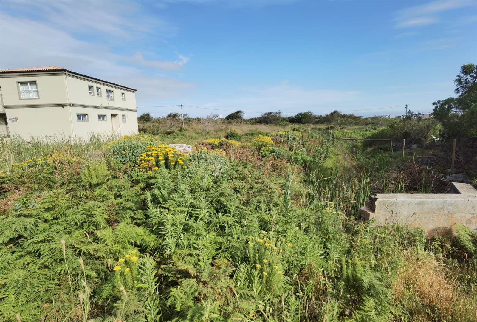 880 m² Land available in Bettys Bay photo number 6