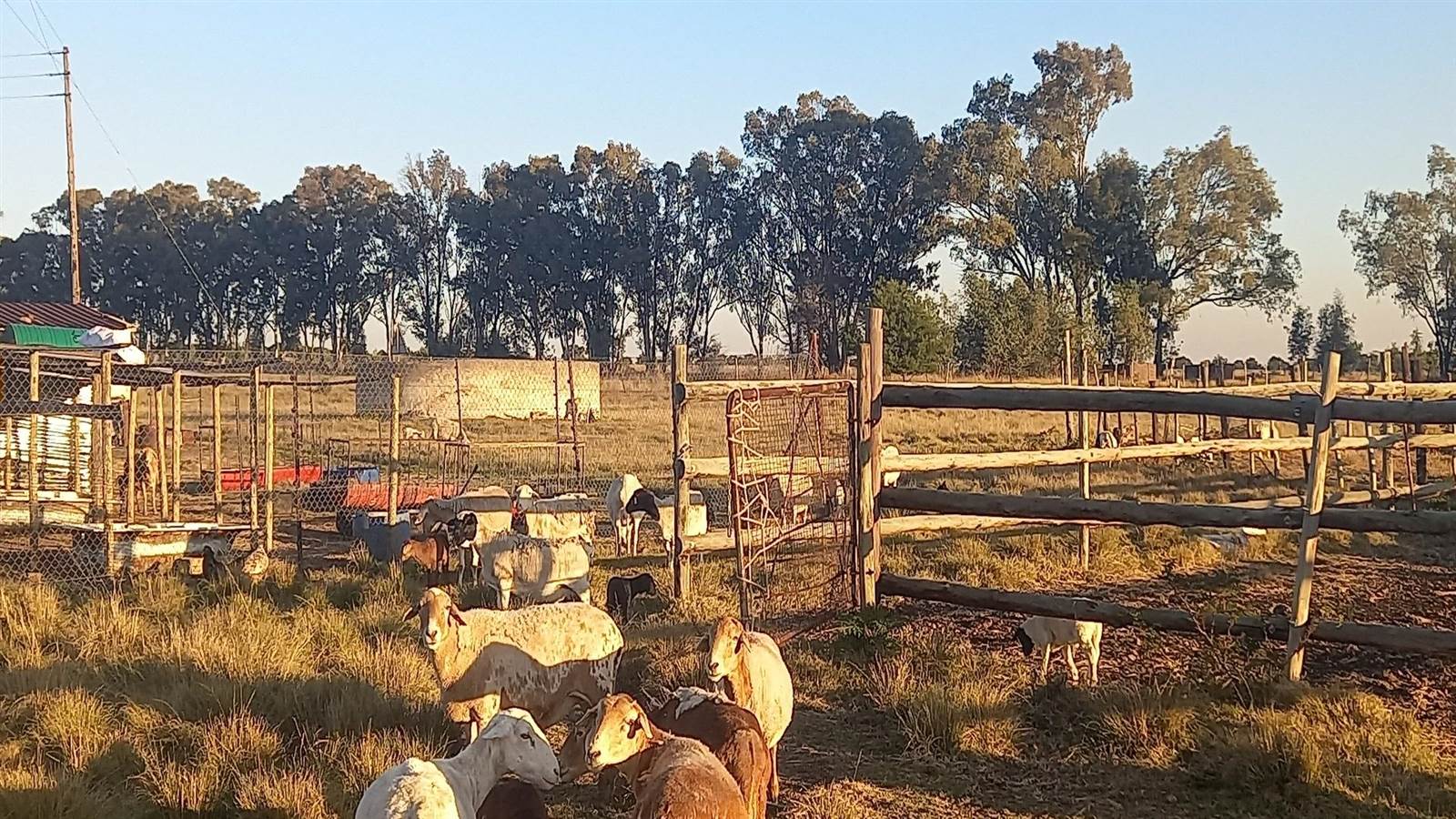 16.3 ha Farm in Vlakfontein photo number 26