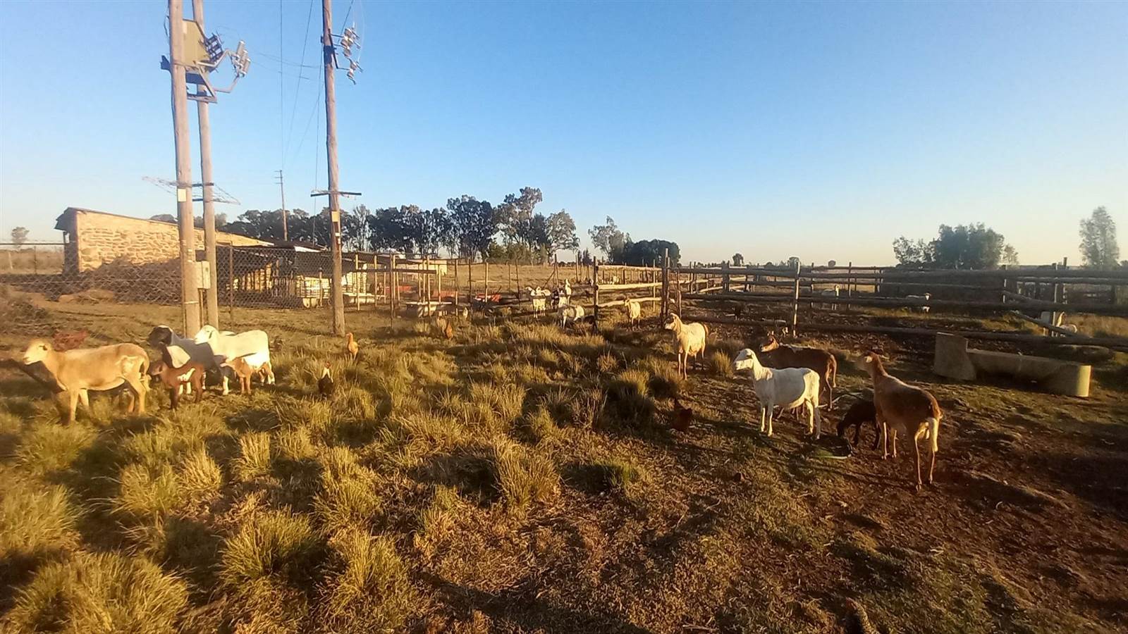 16.3 ha Farm in Vlakfontein photo number 25