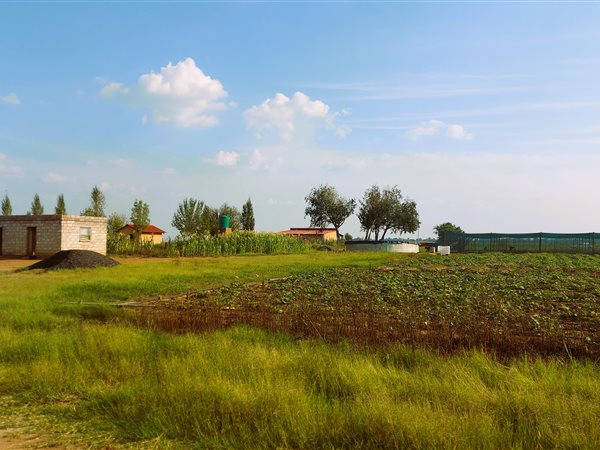 12 ha Farm in Grootvaly