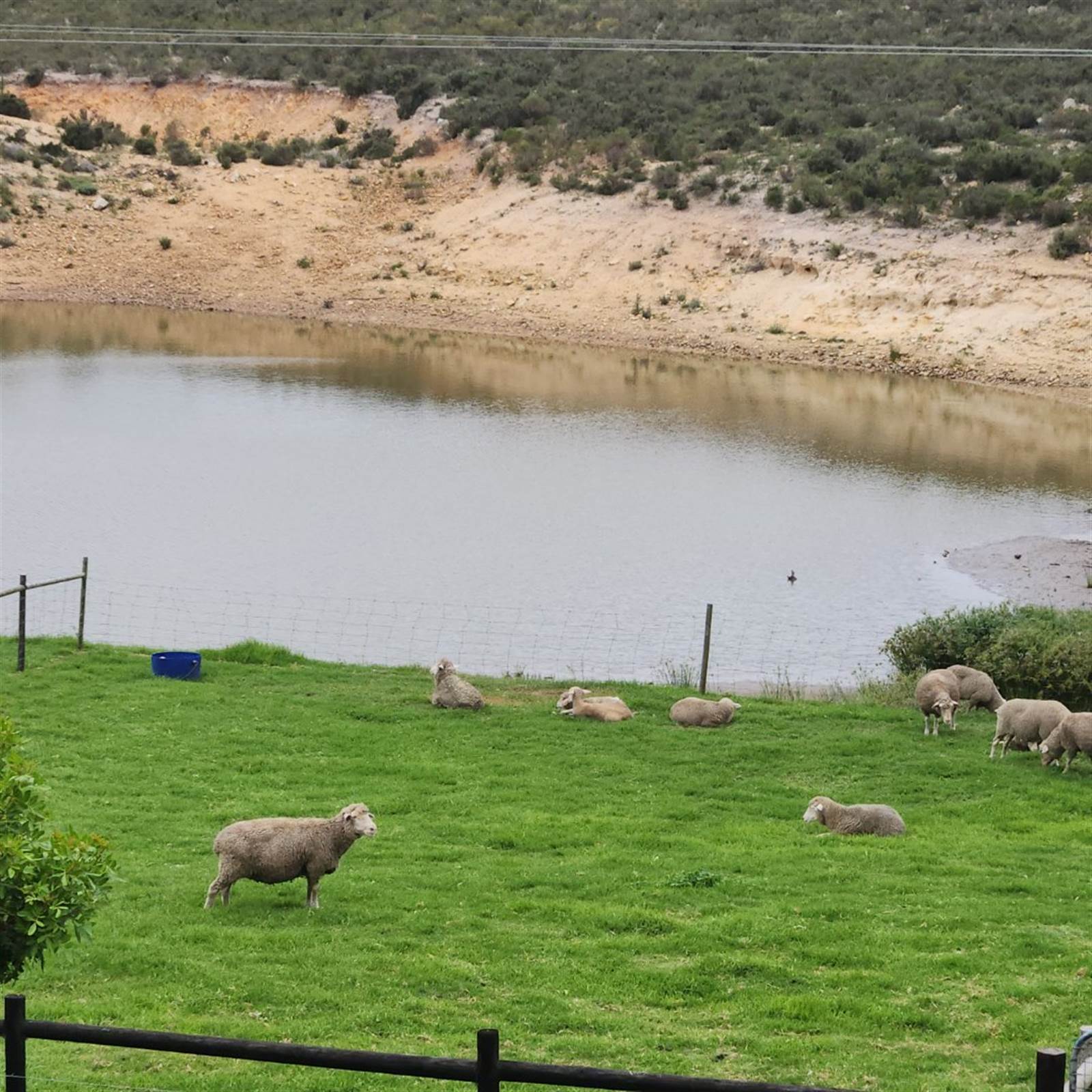 612 ha Farm in Humansdorp photo number 24