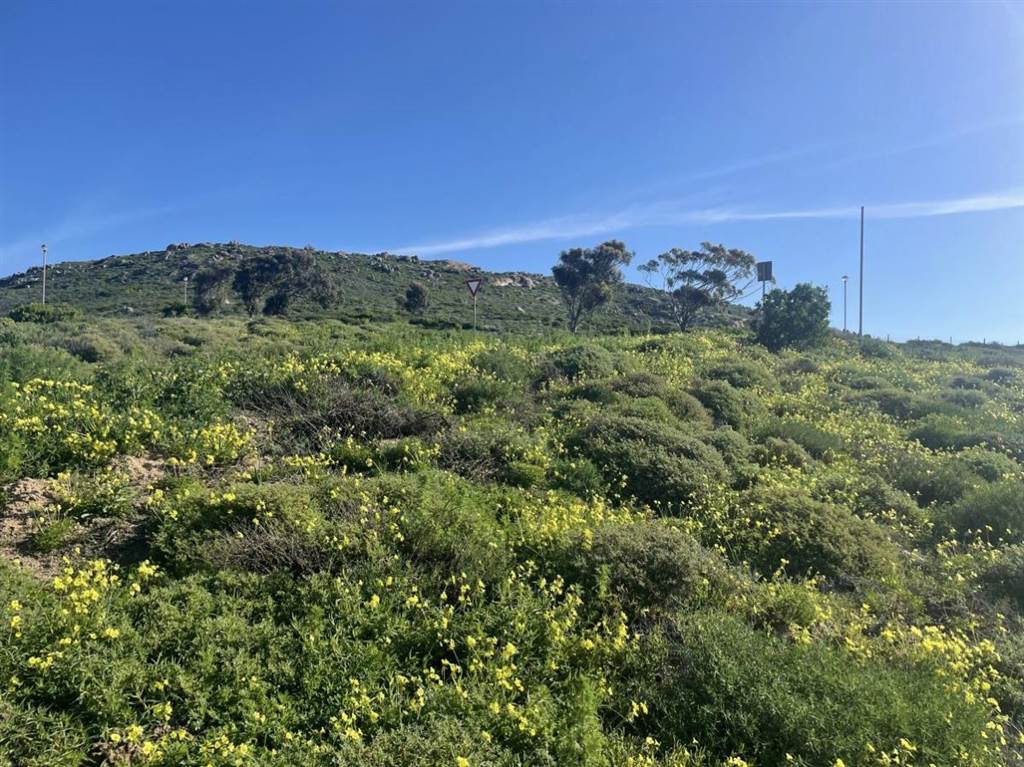 569 m² Land available in St Helena Views photo number 7