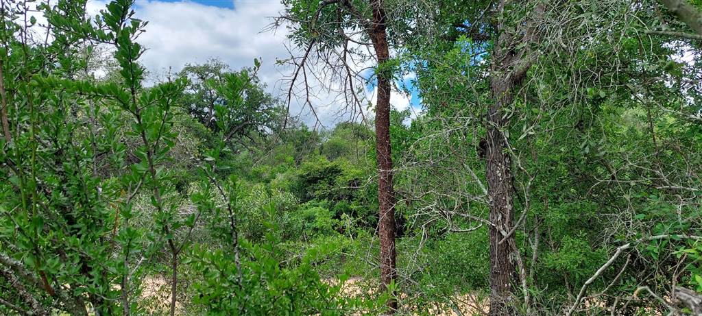 9621 m² Land available in Moditlo Nature Reserve photo number 9