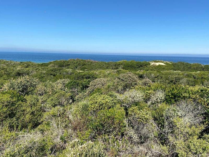 805 m² Land available in Keurboomstrand photo number 12