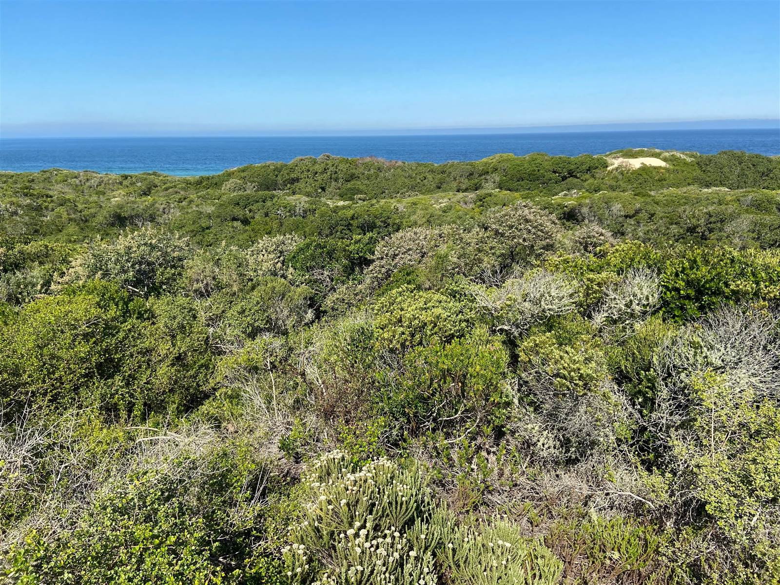 805 m² Land available in Keurboomstrand photo number 11