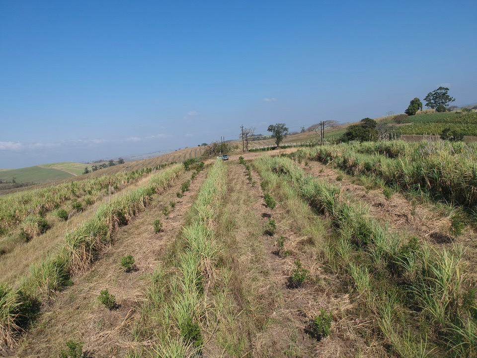 160 ha Farm in Tongaat Central photo number 15