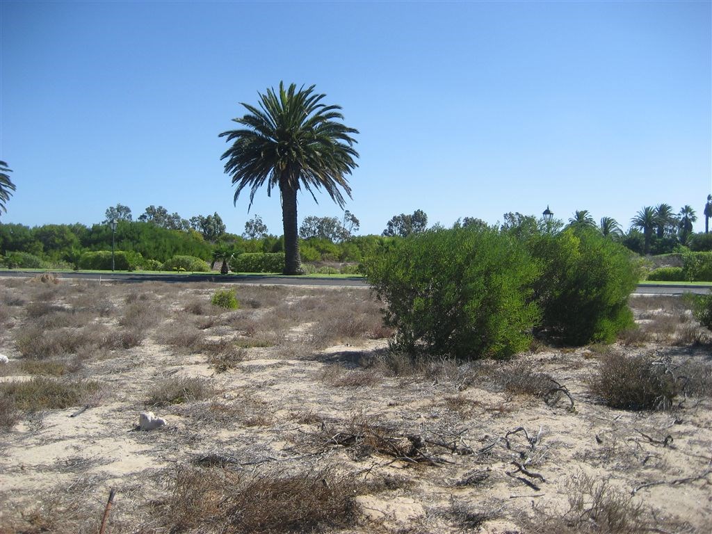 414 m² Land available in Shelley Point photo number 6