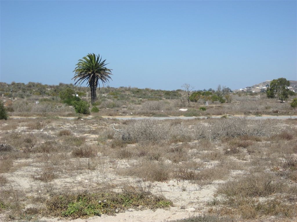414 m² Land available in Shelley Point photo number 8