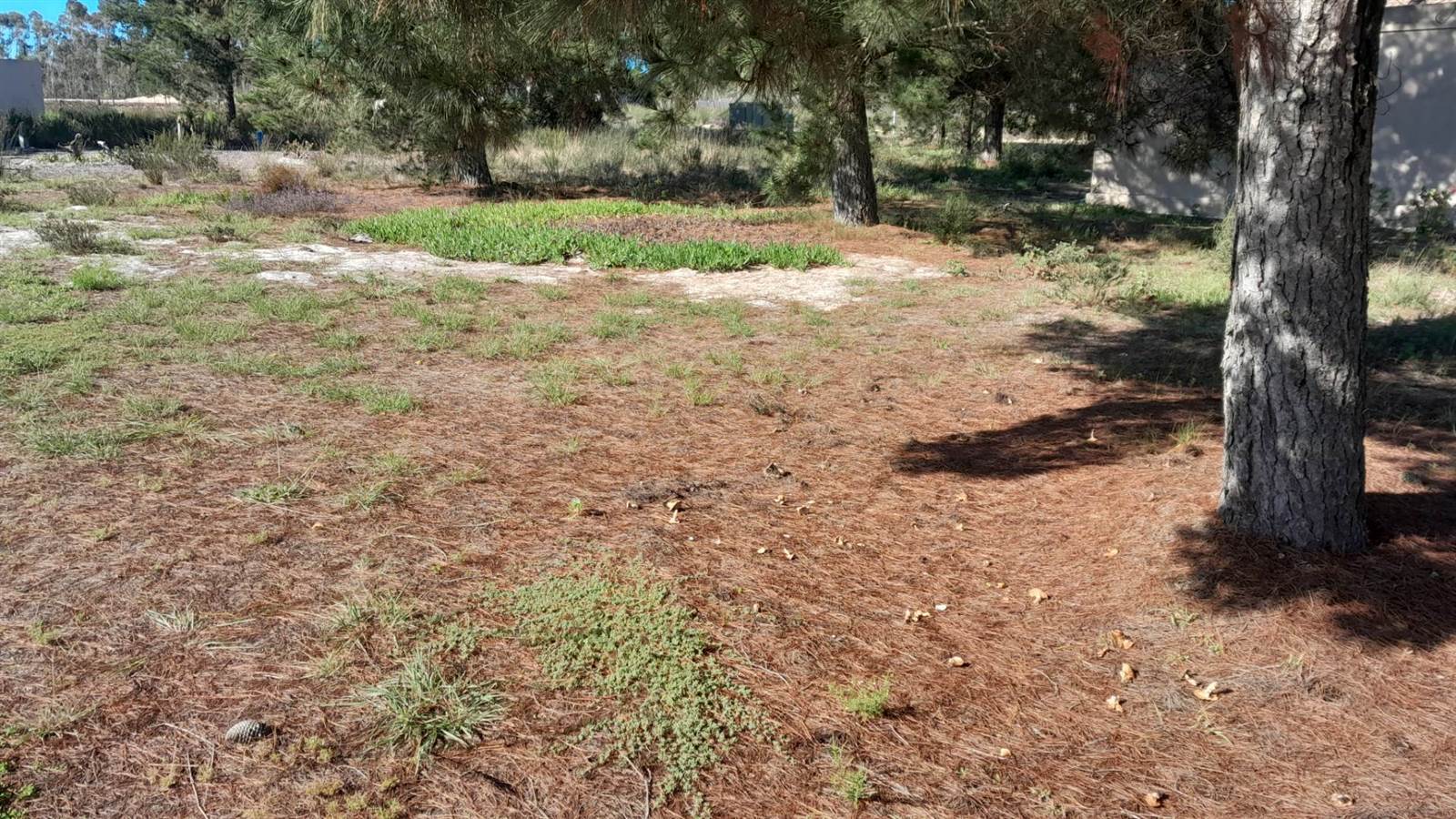 207 m² Land available in Albertinia photo number 1