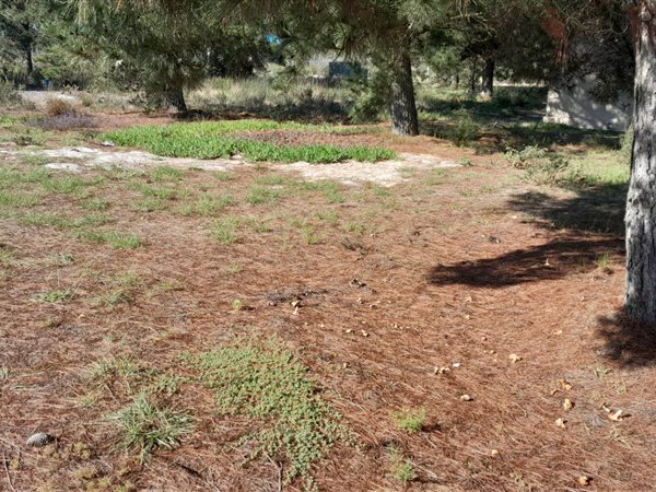 207 m² Land available in Albertinia