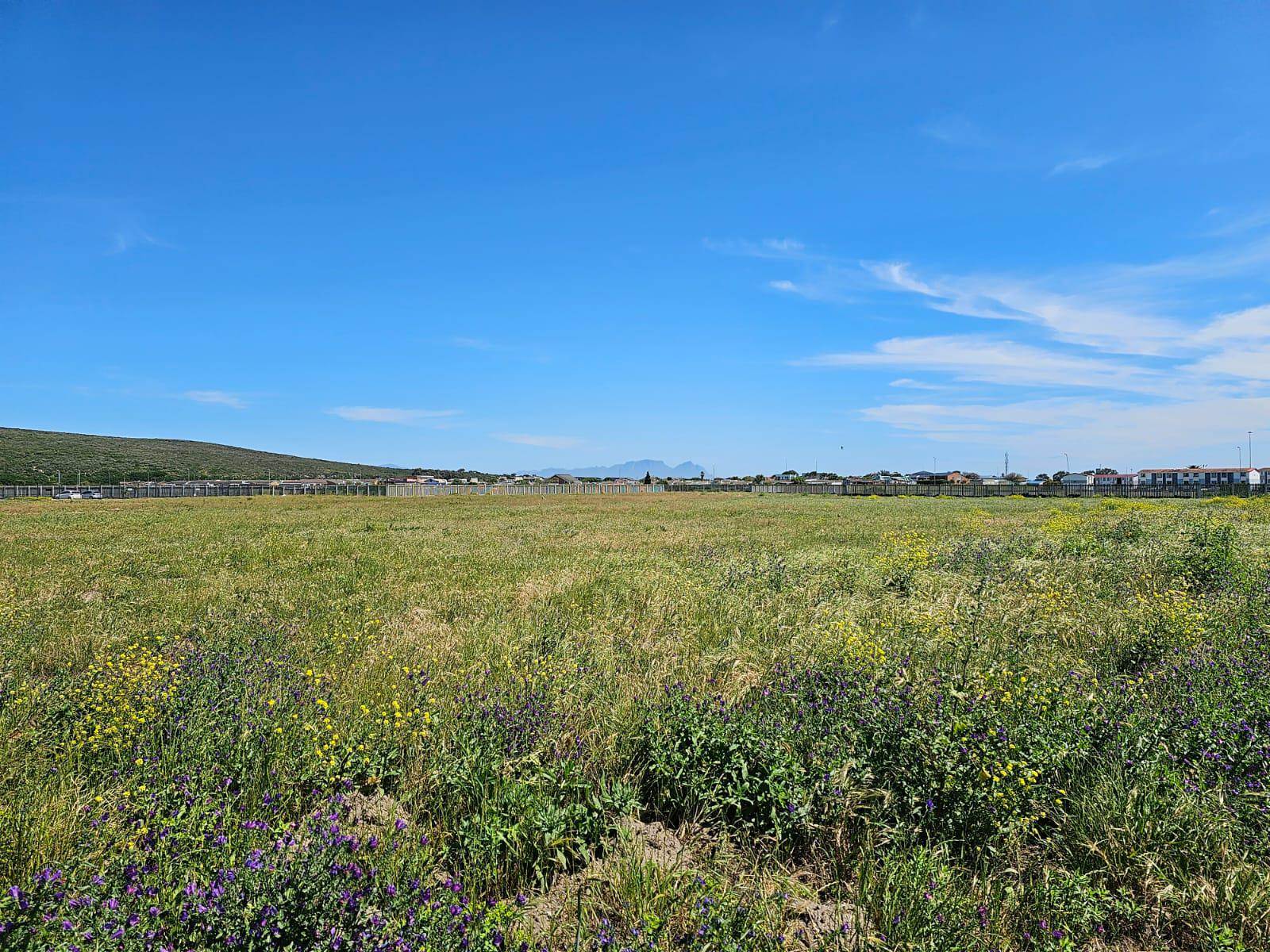 1.3 ha Land available in Firgrove photo number 5