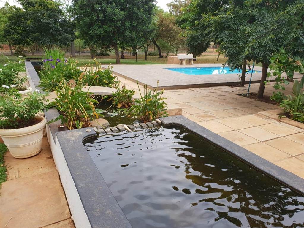 2.2 ha Farm in Strydfontein and surrounds photo number 15