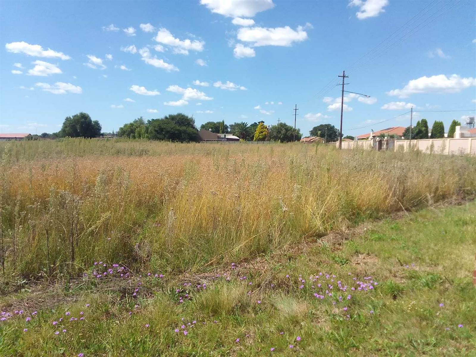 500 m² Land available in Riversdale photo number 1