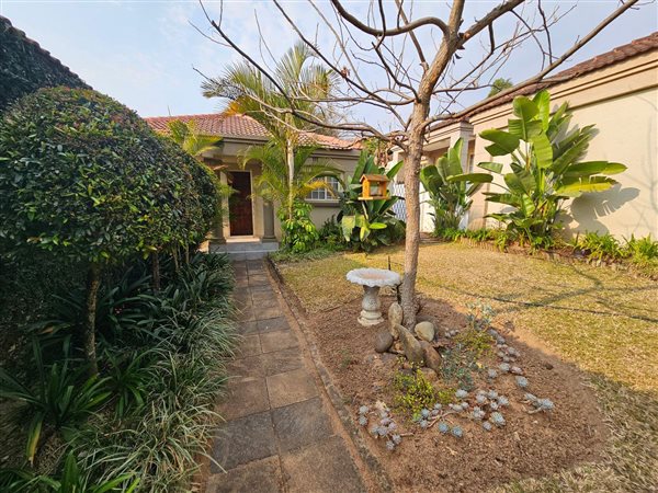 3 Bedroom House 3 Bedroom House
