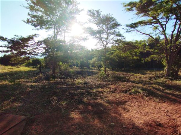 4613 m² Land available in Tzaneen