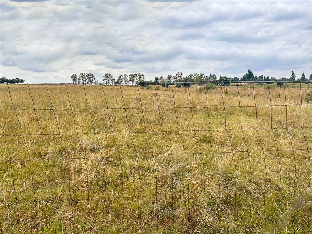 2.1 ha Land available in Lindequesdrif photo number 3