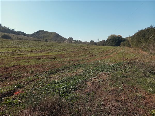 2.4 ha Smallholding 2.4 ha Smallholding
