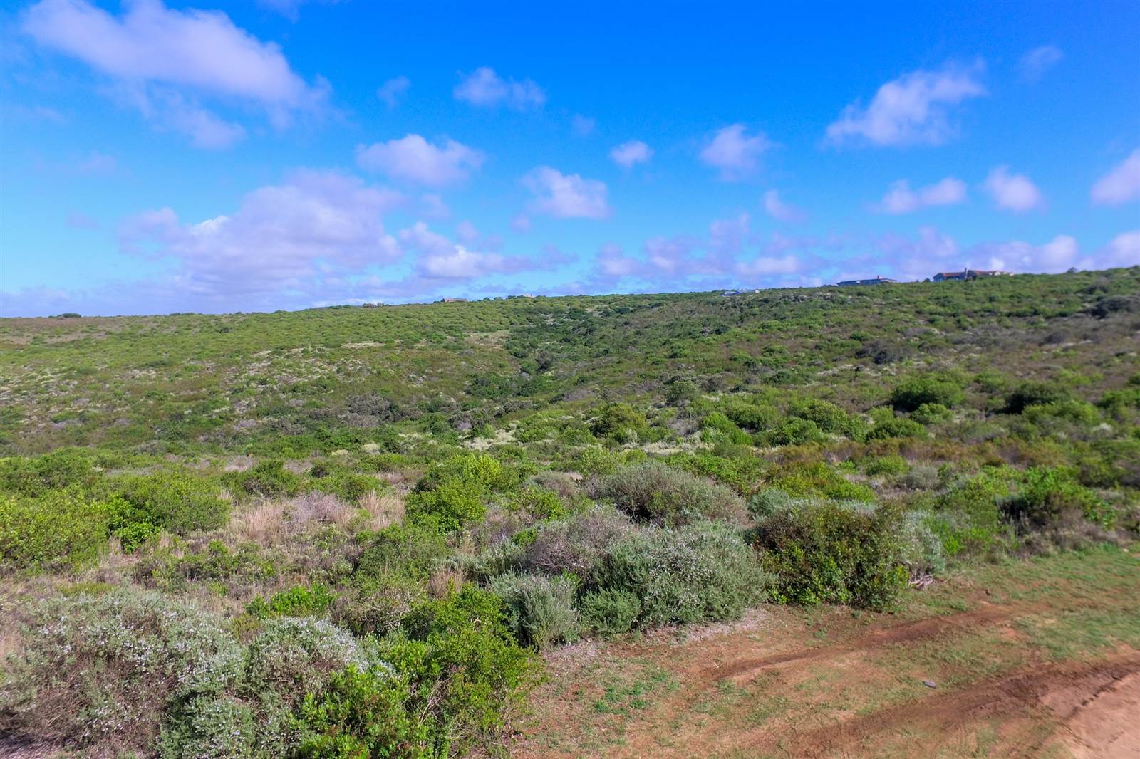 3386 m² Land available in Dana Bay photo number 6
