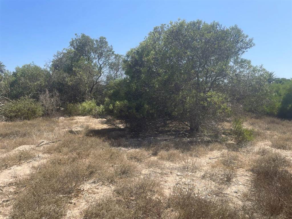367 m² Land available in Shelley Point photo number 5