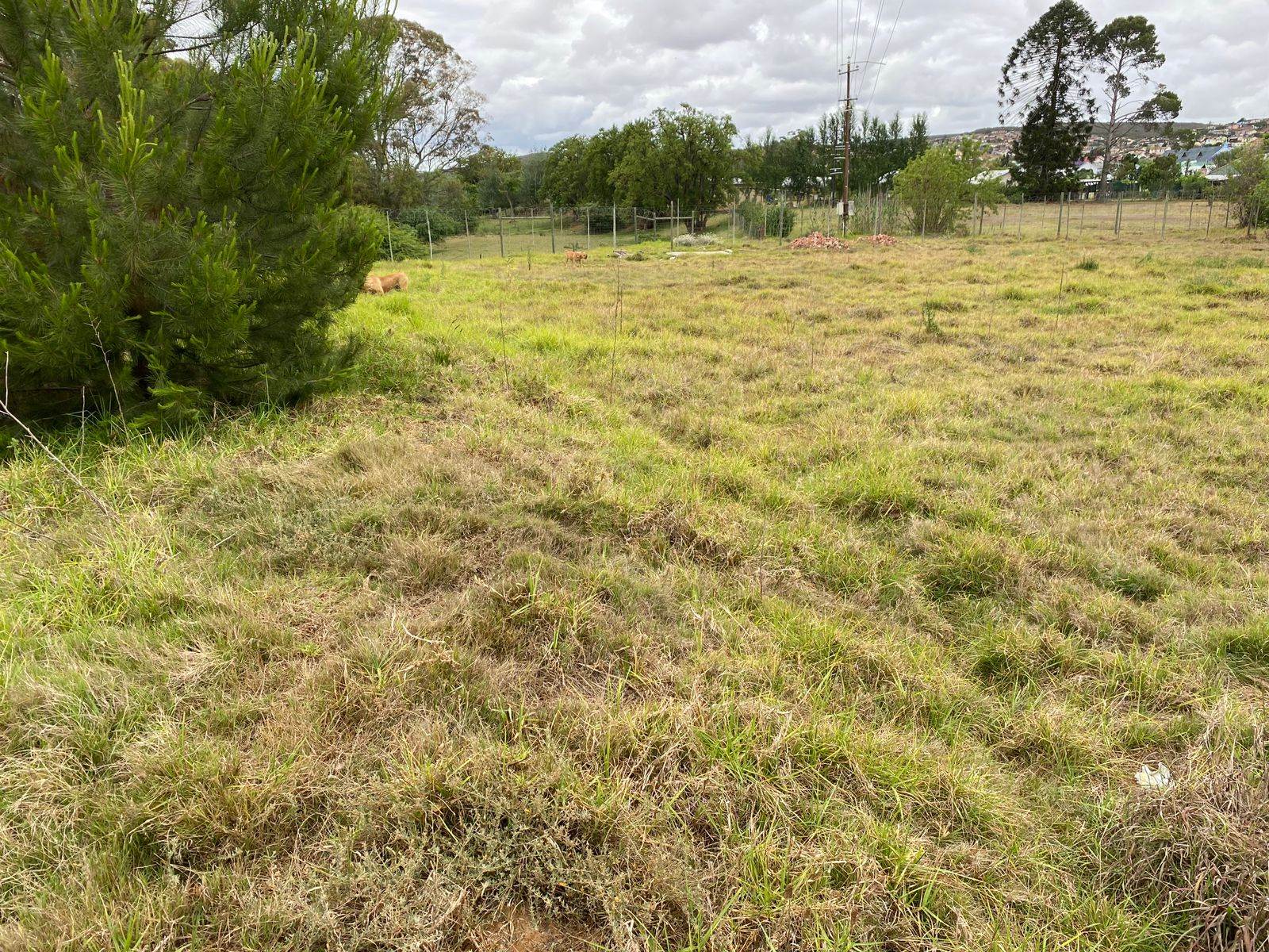 1733 m² Land available in Riversdale photo number 7