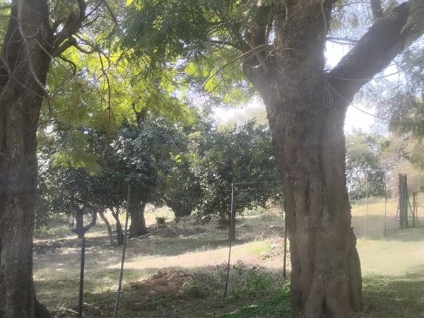 16.4 ha Farm 16.4 ha Farm