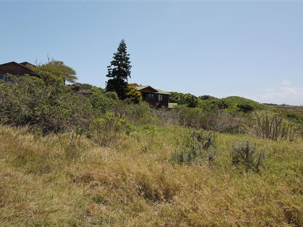 1111 m² Land available in Forest Downs